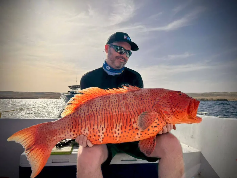 Coral Trout