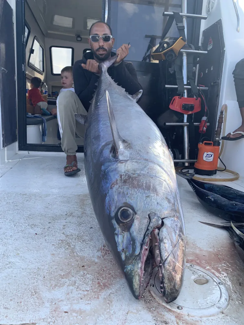 Dogtooth Tuna