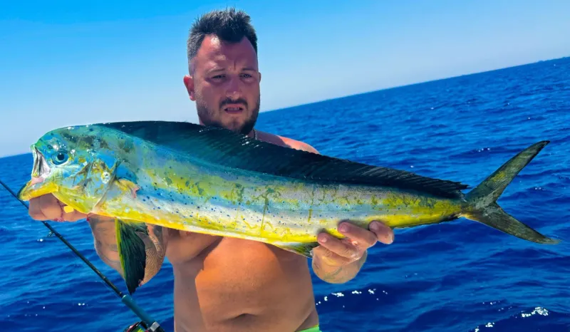 Mahi Mahi (Dorado)