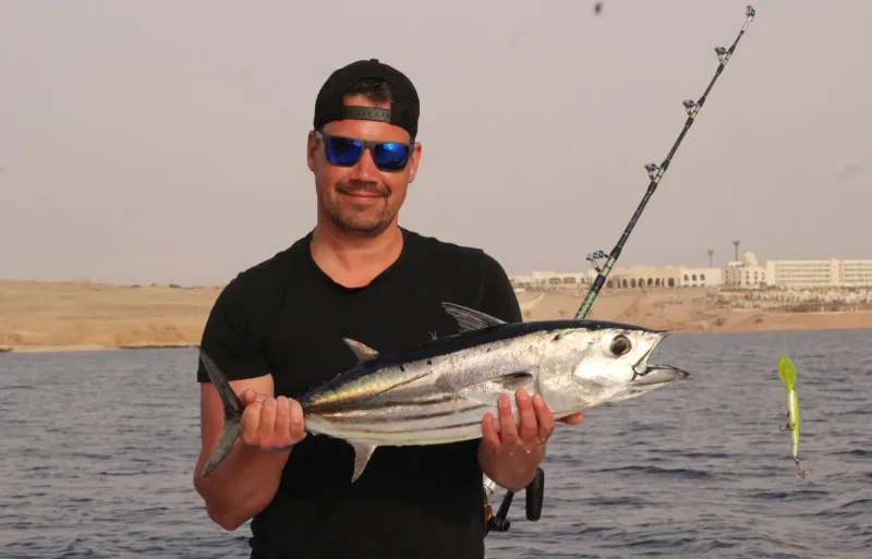 Skipjack Tuna